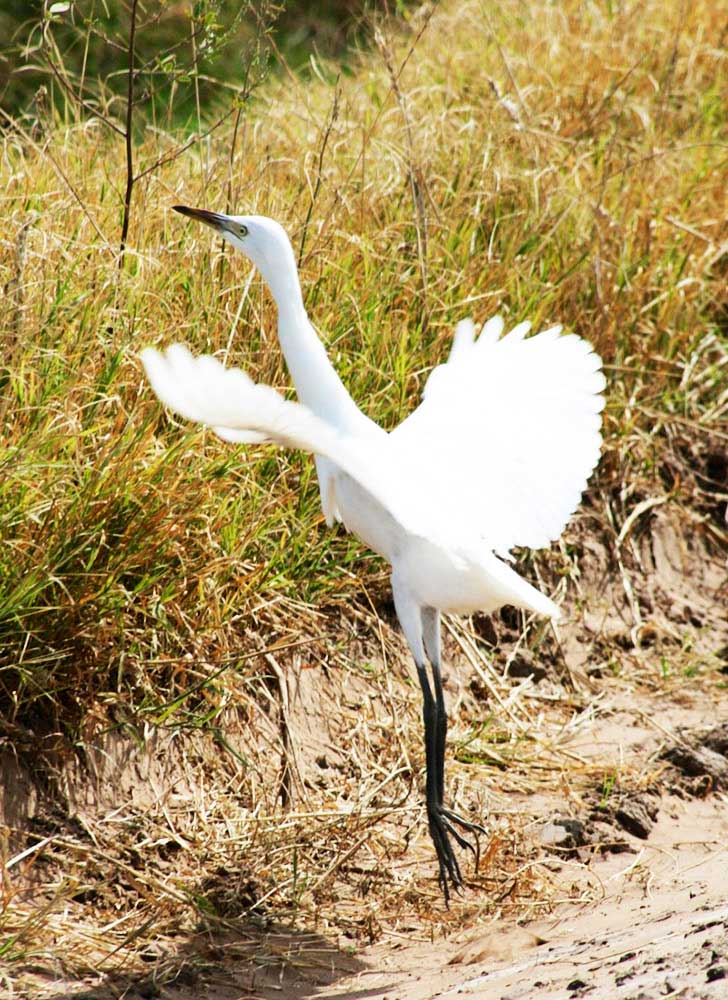 Turismo Buenos Aires 10
